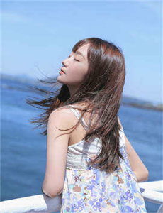 笨蛋测试召唤兽ova